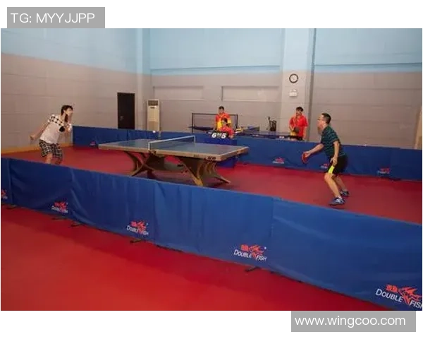 广州乒乓球队团队协作引发热议争议背后的默契与挑战分析